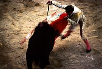 Spagna, corrida. 073.JPG